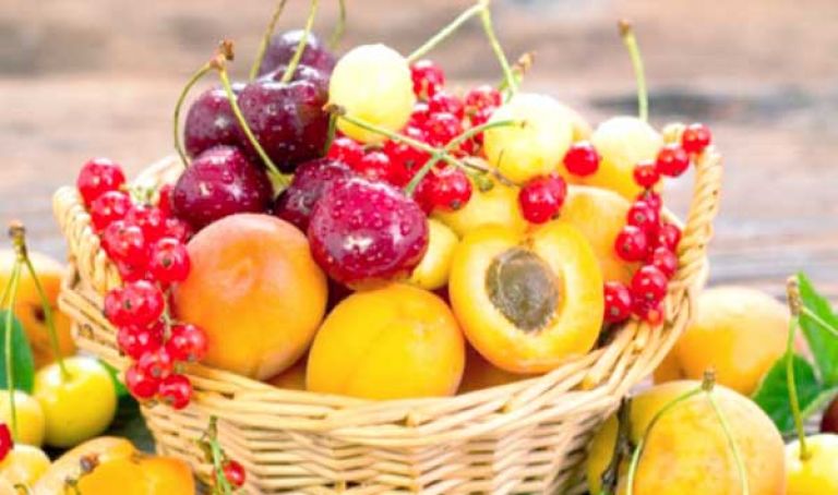 الخضر والفواكه سبيلك للصحة وطرد الداء