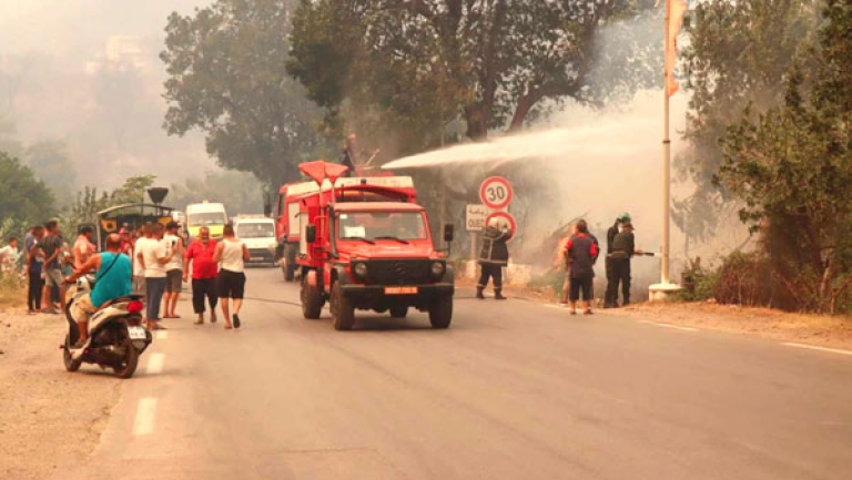 هبّة تضامنية واسعة مع ضحايا حرائق الغابات