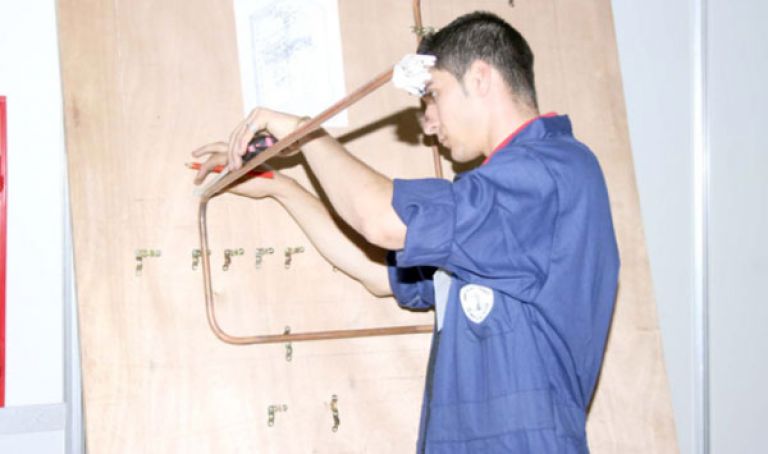 فتح أربع تخصصات جديدة