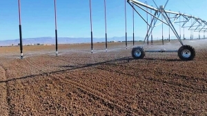 291 ألف صاحب امتياز محل إعذار لإخلالهم بالواجبات