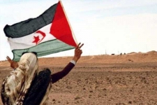 حل قضية الصحراء الغربية ضمان لاستقرار المغرب العربي