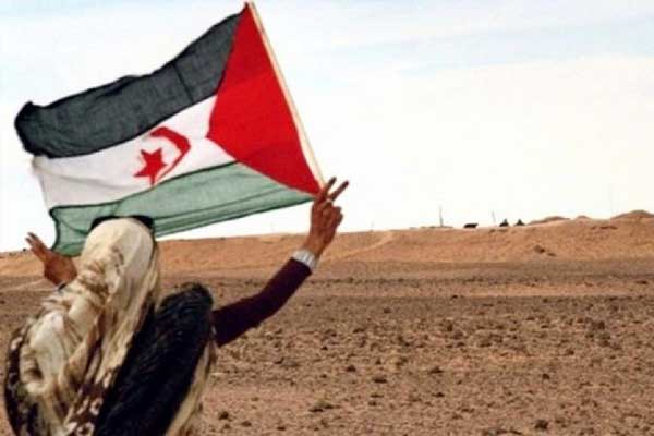 حل قضية الصحراء الغربية ضمان لاستقرار المغرب العربي