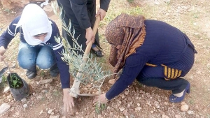 غرس 400 شجيرة بمنطقة الرميلة