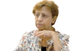 المنظومة السينمائية في مصر بحاجة إلى التغيير
