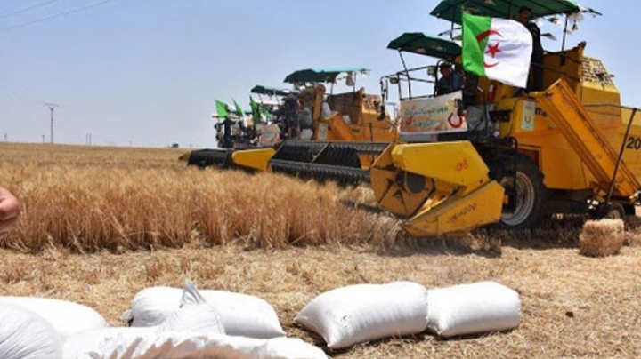 مراكز التجميع الجوارية تنهي معاناة الفلاحين بالجنوب