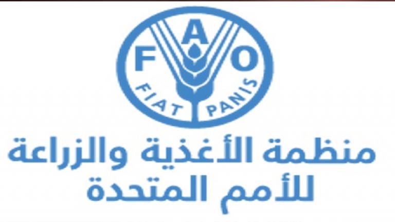 وفاة 700 ألف شخص سنويا بسبب مقاومتهم للأدوية