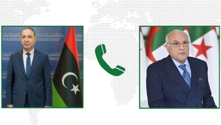 بحث مبادرات التسوية المطروحة على مستوى الهيئات الأممية