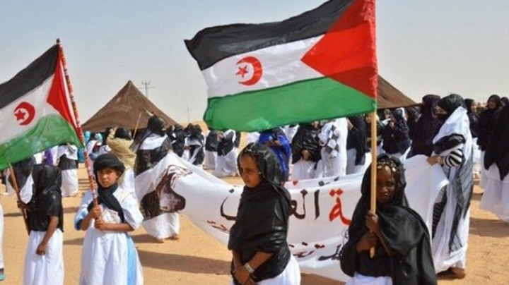 مؤتمر دولي بجامعة إشبيلية حول القضية الصحراوية