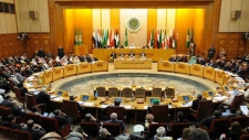 اللجنة العربية المعنية بالقضية تضع خطة لتحركها المستقبلي 