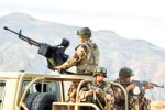 الجيش يوقف إرهابيا بسكيكدة