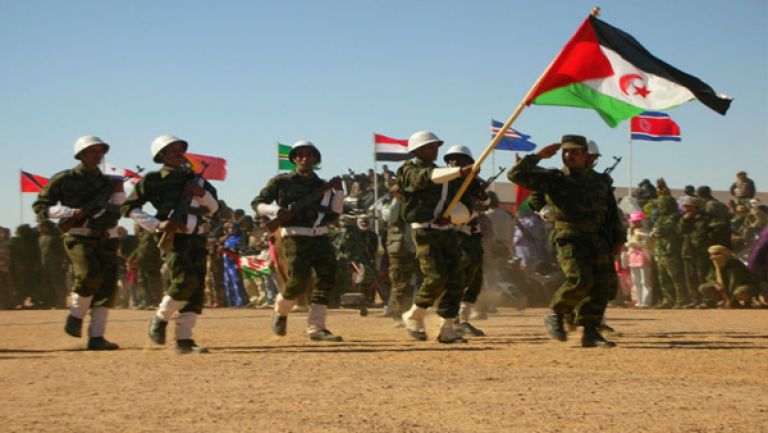 الشجرة والغابة