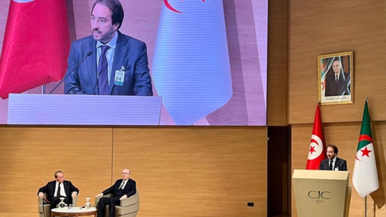 تحالفات صناعية جزائرية- تونسية لتحقيق النمو المستدام