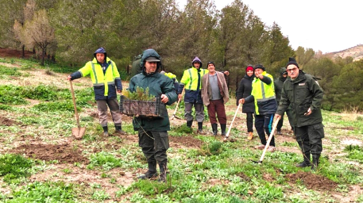غرس 200 ألف شجيرة بالمحيطات الغابية بعين تموشنت