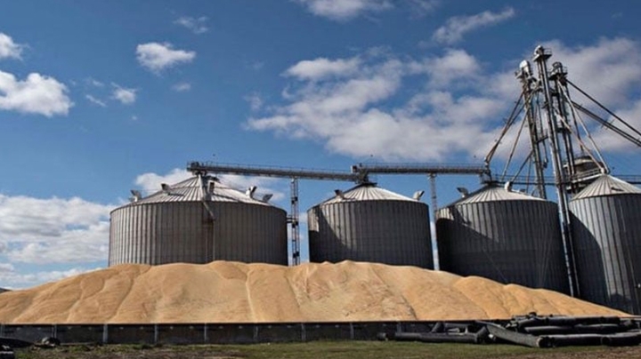 مشاريع استراتيجية لتخزين الحبوب