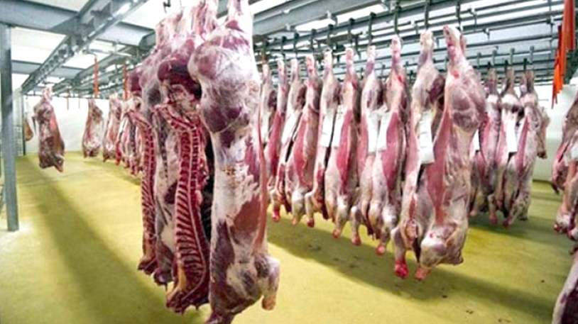 الوفرة والتنوّع مضمونان بكميات كبيرة في رمضان