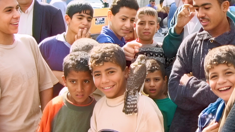 غزة أكبر سجن في العالم وهروب نحو تاريخ غابر