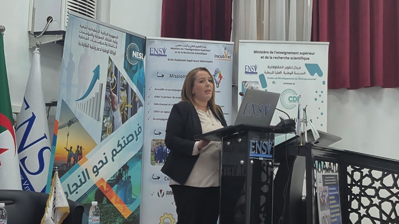 ريادة الأعمال رهان بناء اقتصاد وطني قوي