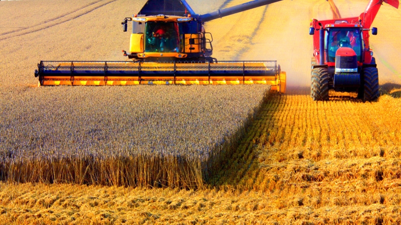 الجزائر بخطى ثابتة نحو مصاف الدول الناشئة