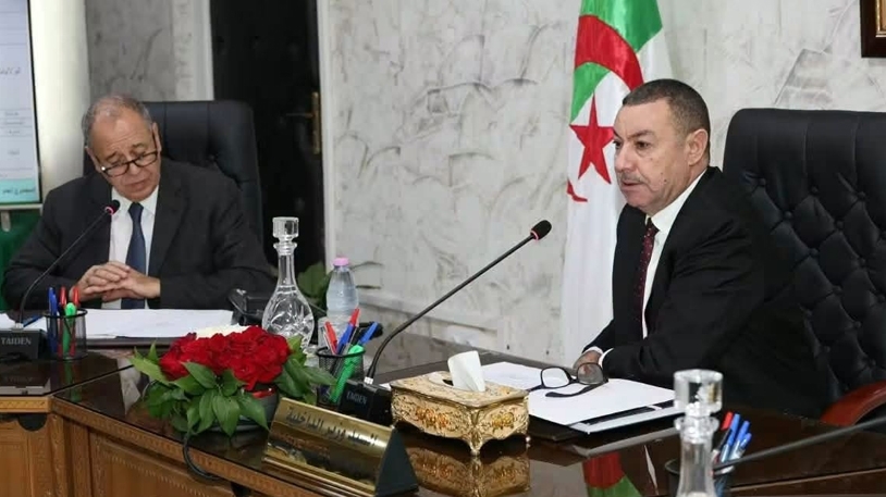 تحويل نشاط استيراد السيارات لفائدة الخواص إلى ميناء جن جن