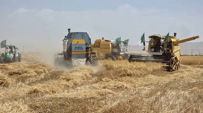 انطلاق حملة الحصاد والدّرس ببسكرة