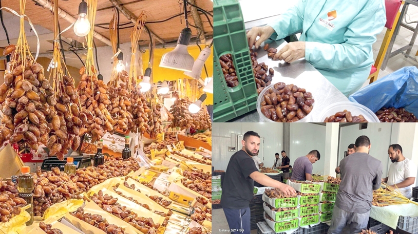 التصدير.. رهان تثمين التمور البسكرية