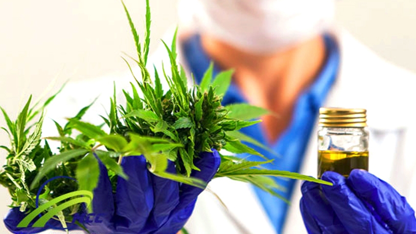 جهود لحماية التنوع البيئي بالشريعة