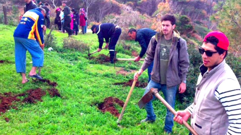 مخطط لتوسيع الغطاء النباتي بعنابة