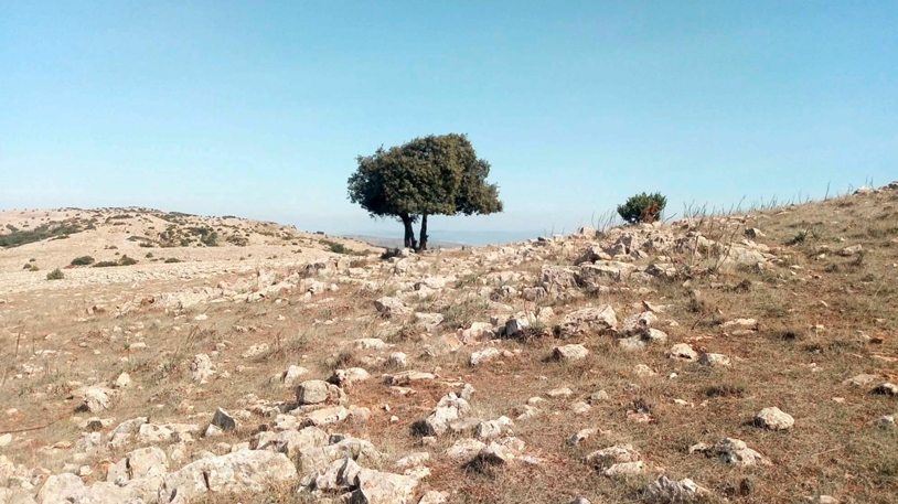 سكان ابن زياد يطالبون بالتفاتة لهذا المعلم السياحي