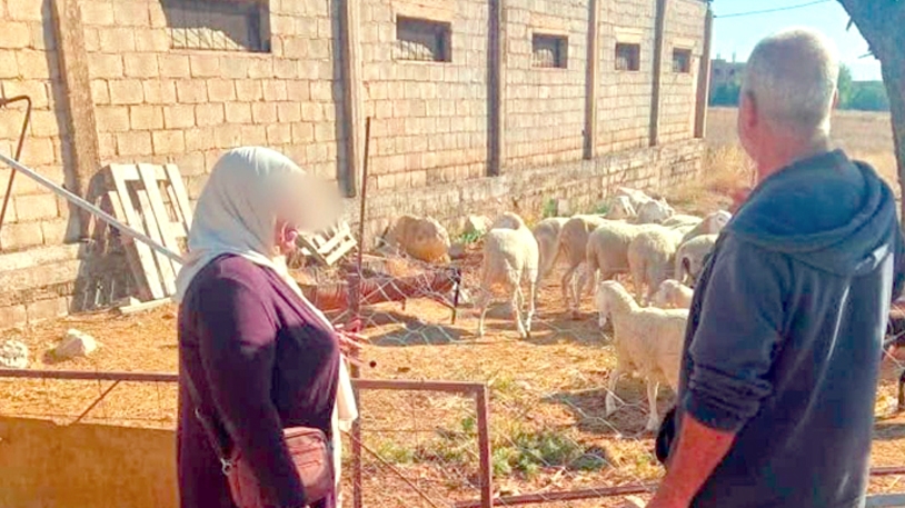 خرجات ميدانية لتحيين ملفات دعم النخالة